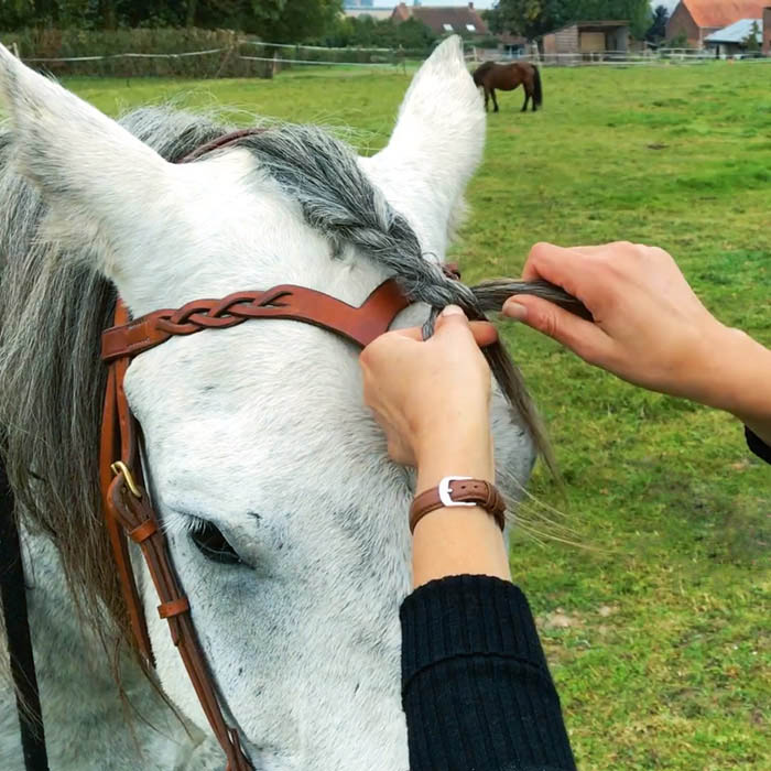 tresse cheval