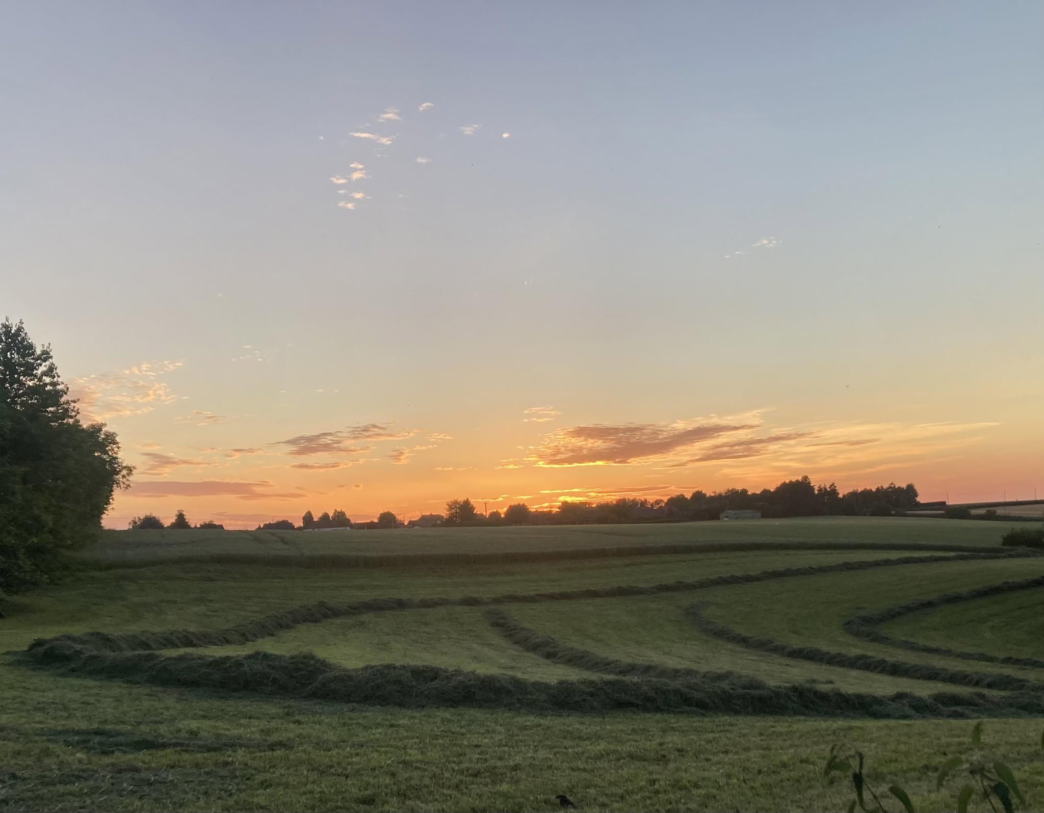 paysage
