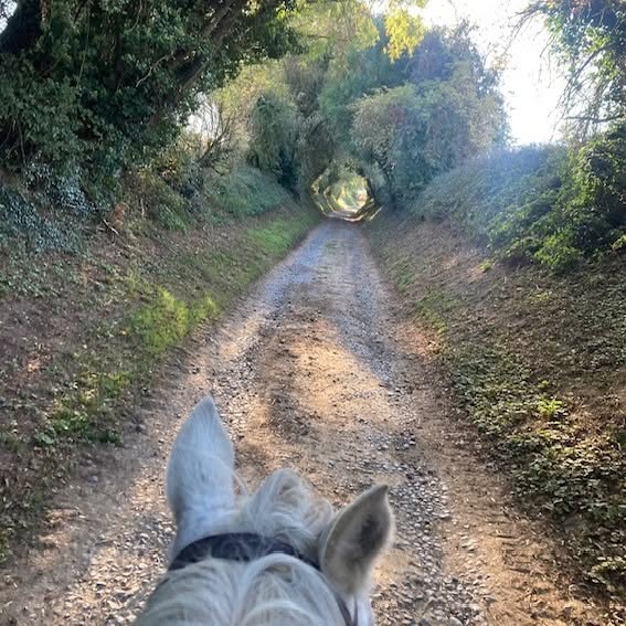 sentier